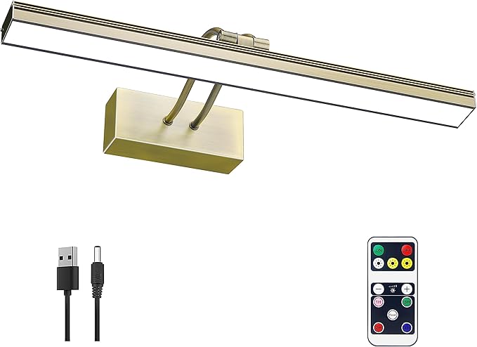 FUNCHDAY Picture Light, 3CCT Battery Art Lights by FUNCHDAY