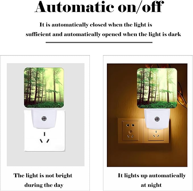 Misty Forest Night Light, Plug-in Nightlights Auto Sensor Night Lamp Dusk to - Image 3