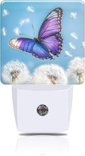 Flying Butterfly with Dandelion Night Light, Plug-in Nightlight with Dusk to by FOISIIAEA