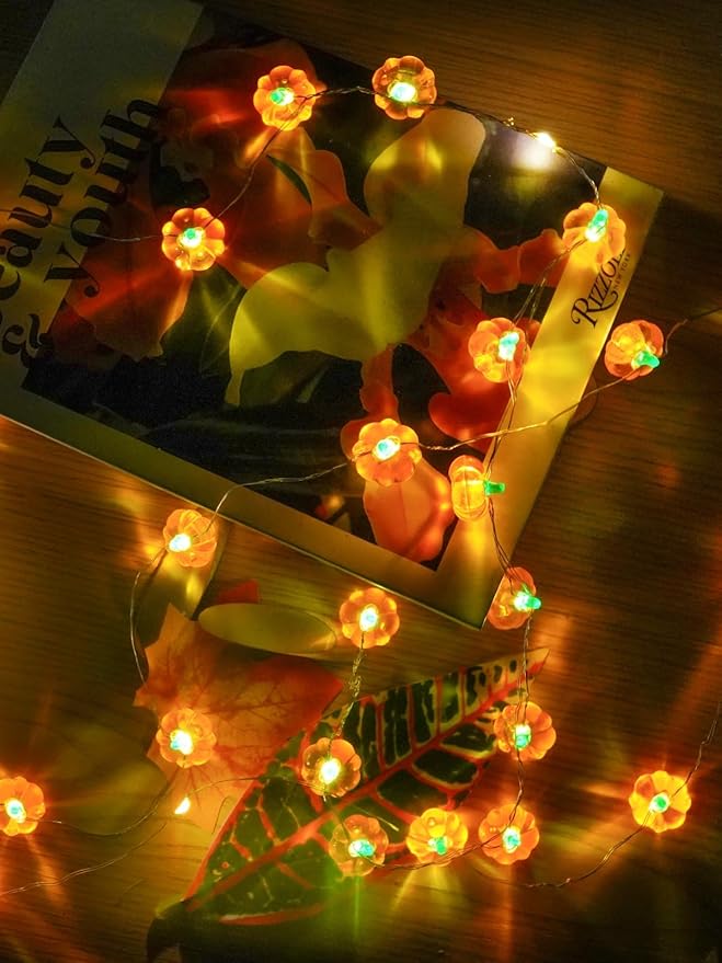 BOSSERN 2 Pack 60LED Thanksgiving Decoration 3D Pumpkin String Lights Battery - Image 7