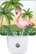 Tropical Flamingo Cartoon Night Light, Dusk to Dawn Smart Sensor Nightlight by JOPOWIDE