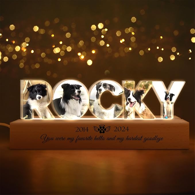 Personalized Pet Memorial Night Light by Thunala