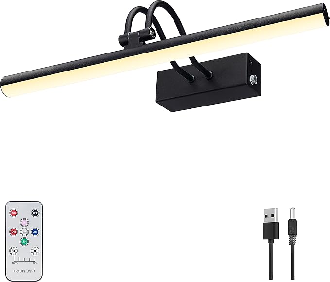 Picture Light, Picture Lights for Wall Cordless, Battery Wall Lights for by RAIFOOLLY