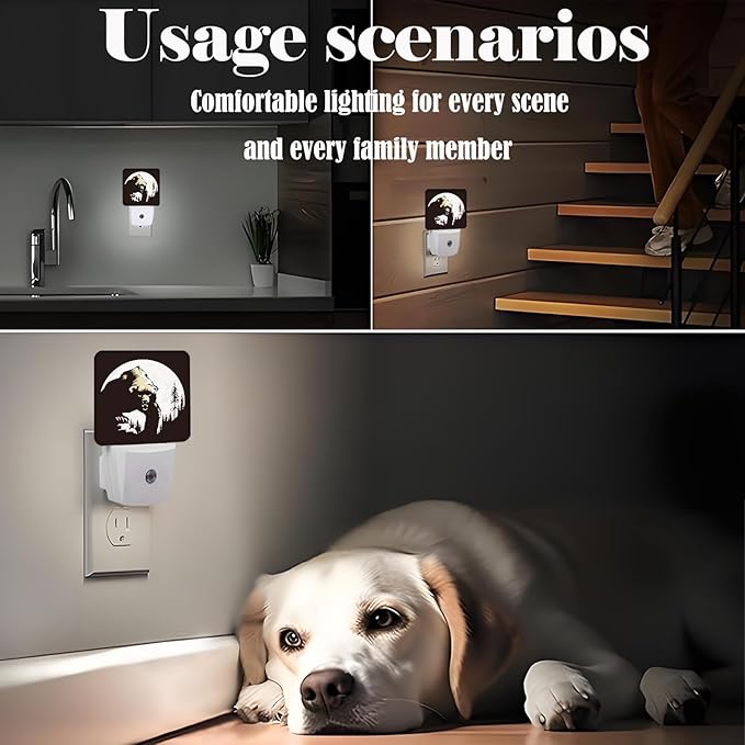Brown Bear Night Light, Plug-in Nightlights Auto Sensor Night Lamp Dusk-to-Dawn - Image 6