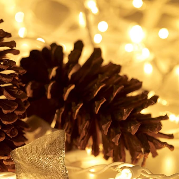 Christmas Lights 100 Count Mini Clear Lights 21ft White Wire Christmas Tree - Image 3