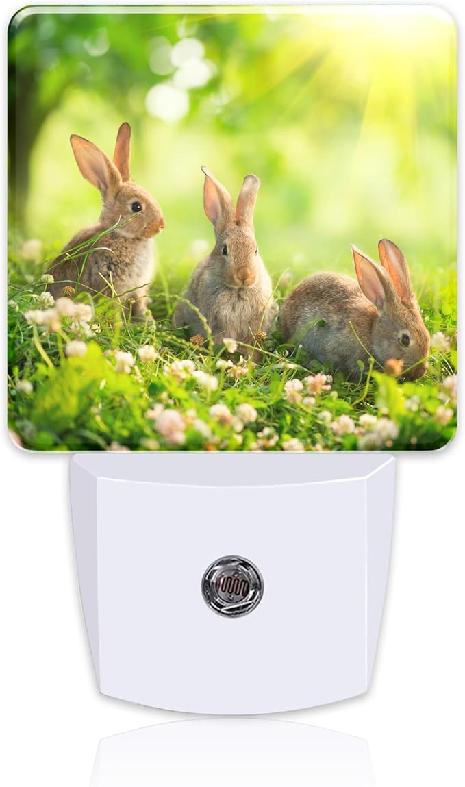 Easter Bunny in The Meadow Night Light Plug into Wall, Cute Rabbits and Spring by sndheke