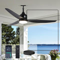 Outdoor Ceiling Fan with Light, 52 Inch Black Waterproof Plug in Ceiling Fan by Unknown