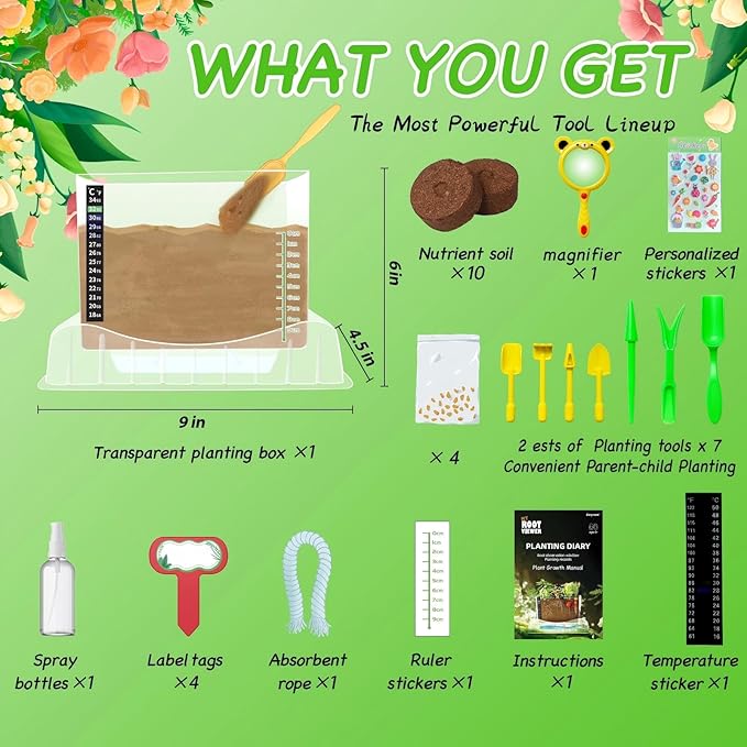 Root Viewer Kit for Kids - Image 2