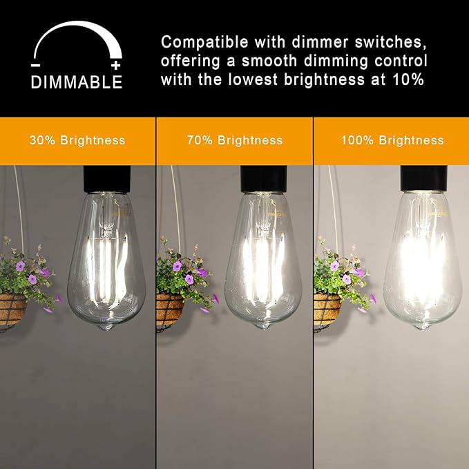 Ascher Dimmable Vintage LED Edison Bulbs, Equivalent 60W, Bright Cool White - Image 3