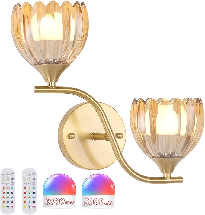 Battery Operated Wall Sconce, 2-Lights Vinatge Brass Wall Lighting by Shenmoyl