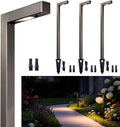 Gardenreet Low Voltage Pathway Lights Brass, LED Landscape Path Lights by Gardenreet