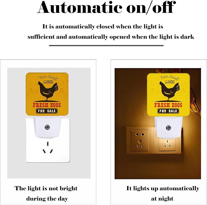 Funny Chicken Night Light, Plug Into Wall - Image 3