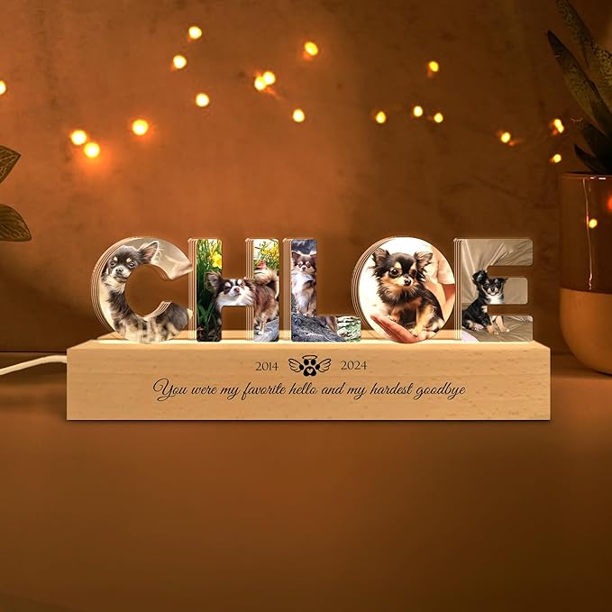 Personalized Pet Memorial Night Light - Image 3