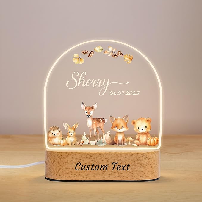Personalized Baby Gifts for Kids Boys Girls, Custom Name LED Acrylic Plaque by Unknown