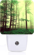 Misty Forest Night Light, Plug-in Nightlights Auto Sensor Night Lamp Dusk to by Unknown