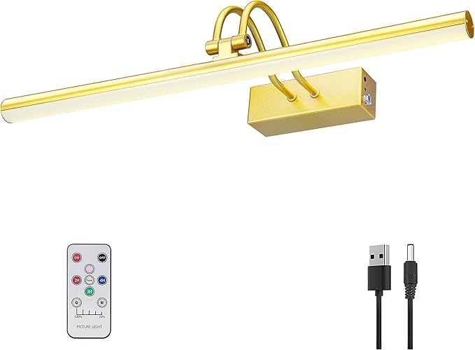 Picture Light, Picture Lights for Wall Cordless, Battery Wall Lights for by RAIFOOLLY
