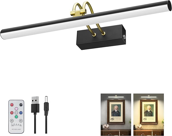 Picture Light, Picture Lights for Wall Cordless, Battery Wall Lights for by RAIFOOLLY