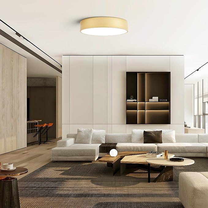 Dimmable Modern Large Flush Mount Close to Ceiling Light Fixture, Round Painted - Image 9