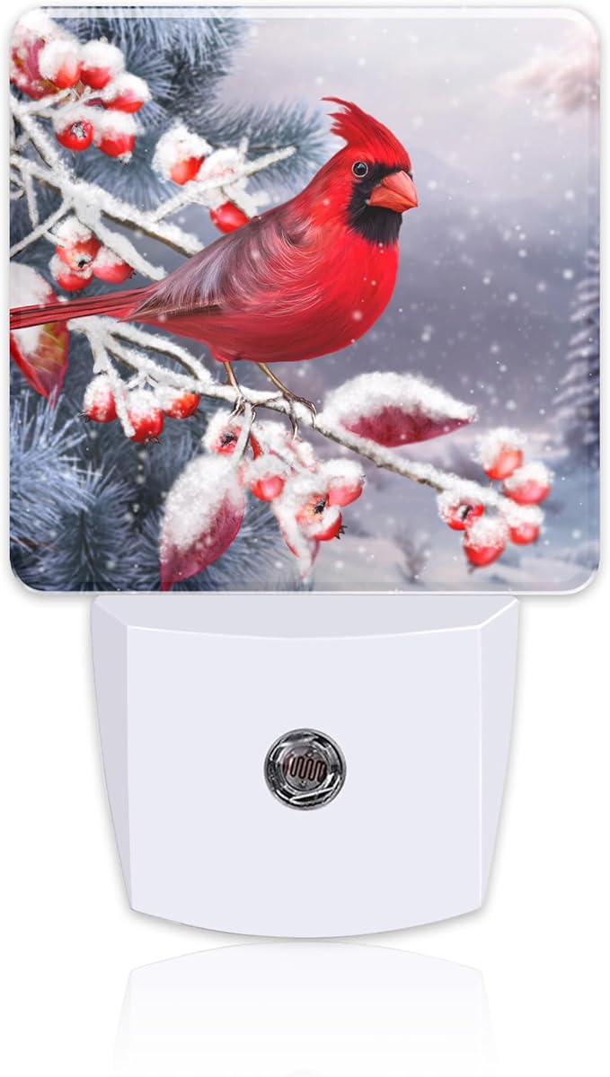 Winter Red Cardinal Bird Night Light by sndheke