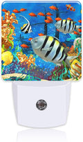 Cartoon Colorful Underwater World Night Light Plug into Wall by Uiaoiais