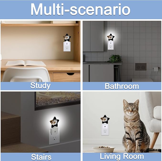 White Daisy Flower Dusk to Dawn Star Night Light, Abstract Floral Smart Sensor - Image 7