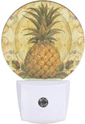 EKOBLA Boho Pineapple Night Light Summer Cute Fruits Pattern Night Lights Plug by EKOBLA
