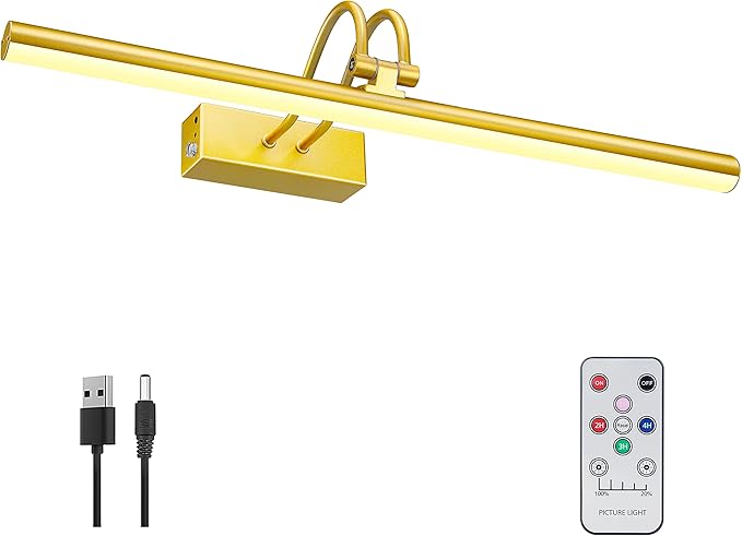 Picture Light, Picture Lights for Wall Cordless, Battery Wall Lights for by RAIFOOLLY