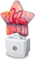Flamingo Night Light, Sunset Plug-in Dusk to Dawn Smart Sensor Nightlight by SKYDAWNY