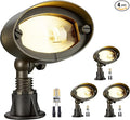 Gardenreet Outdoor Low Voltage Flood Light by Gardenreet
