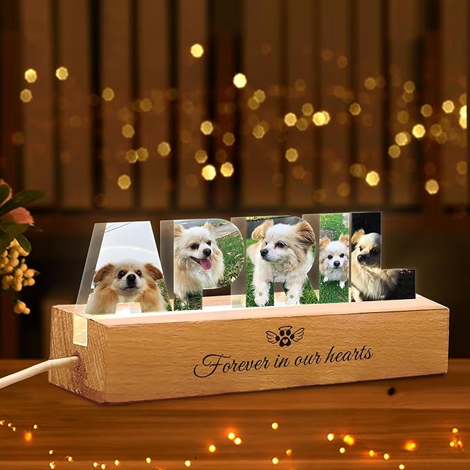 Personalized Pet Memorial Night Light - Image 4