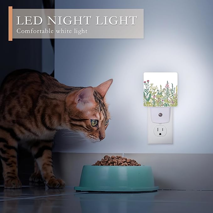 Night Light, Herbs and Wild Flowers Night Lights Plug into Wall - Image 4