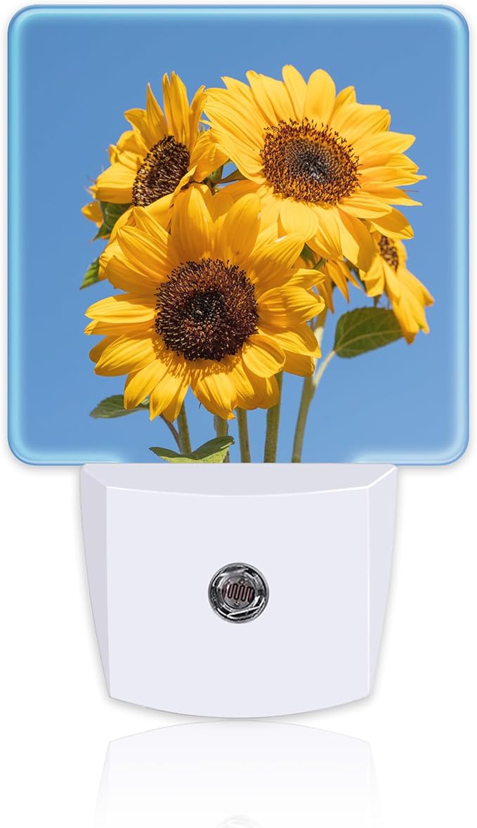 Blooming Sunflowers Night Light Plug into Wall, Summer Blue Sky Sunflower Dusk by sndheke