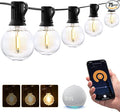 XMCOSY+ Smart Outdoor String Lights, 150Ft G40 Globe Patio Lights by XMcosy