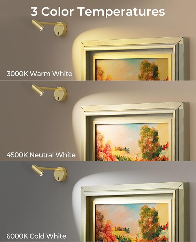 Picture Light for Wall, Battery Operated Art Light for Paintings CCT Dimmable - Image 5