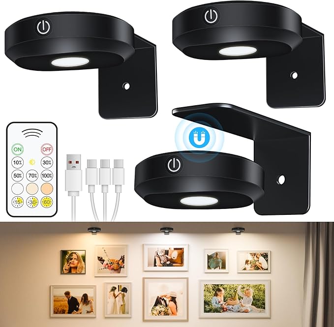 WILLED Picture Lights for Wall Rechargeable, Wireless Battery Operated Art by WILLED