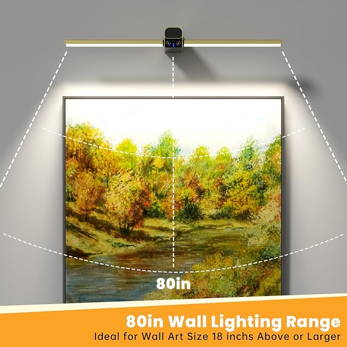 Lightbiz Picture Light for Wall 20inch, 10000mAh Rechargeable Battery Operated - Image 2