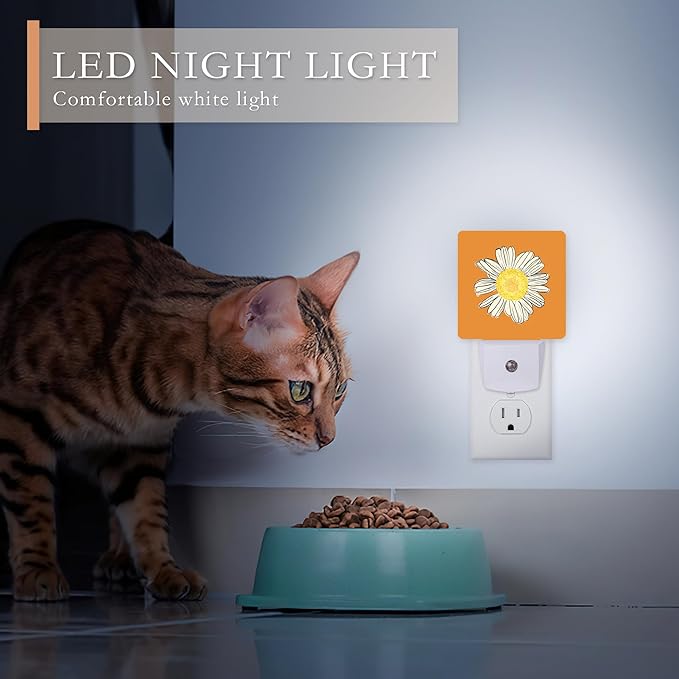 Daisy Night Lights Plug into Wall, Chamomile Night Light - Image 4