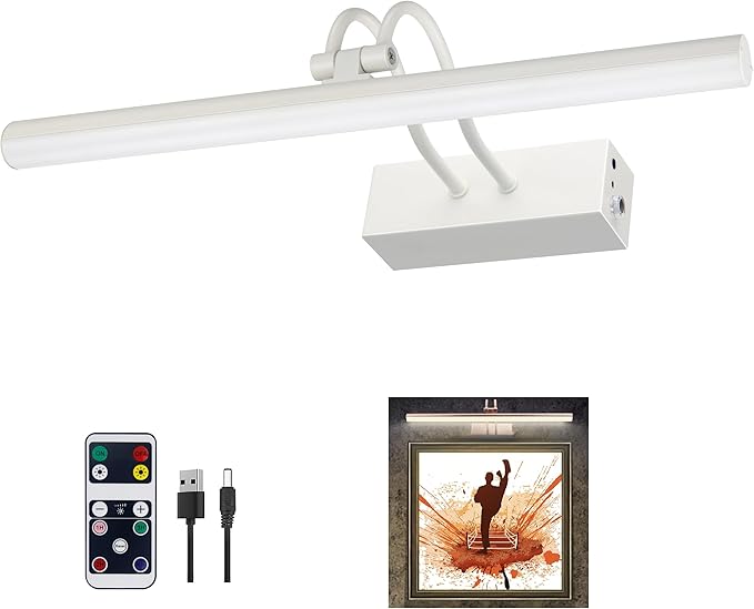 Picture Light, Picture Lights for Wall Cordless, Battery Wall Lights for by RAIFOOLLY