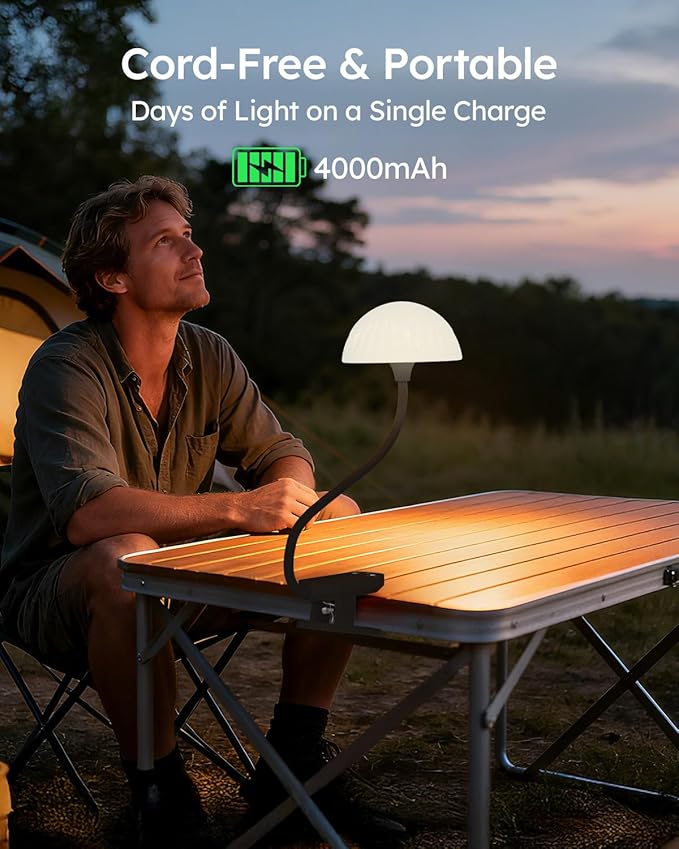 Cordless Clip On Lamp, Touch Control Desk Lamp - Image 5