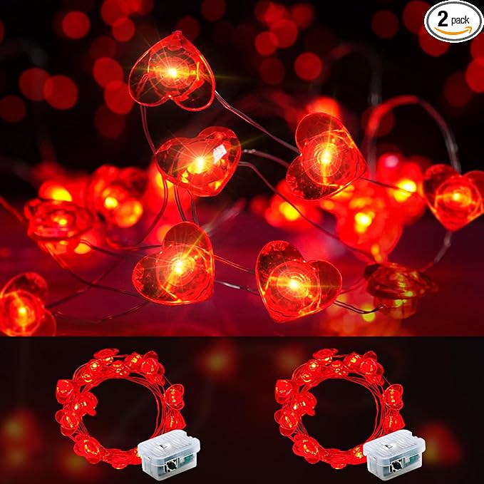 Fairy Lights 7Ft 20 LED Twinkle String Lights Battery Operated Waterproof by chzk