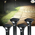 Solar Outdoor Lights with Motion Sensor – Waterproof LED Pathway Lights by AURAXY