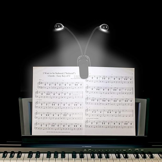 TEECOO 2 Pack Music Stand Light, Clip on Piano Light, USB and AAA Battery - Image 2