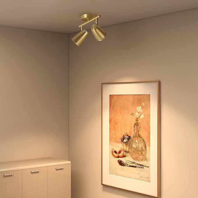 Aisilan LED 2-Light Track Lighting Fixtures Ceiling, Brushed Gold GU10 Track - Image 3