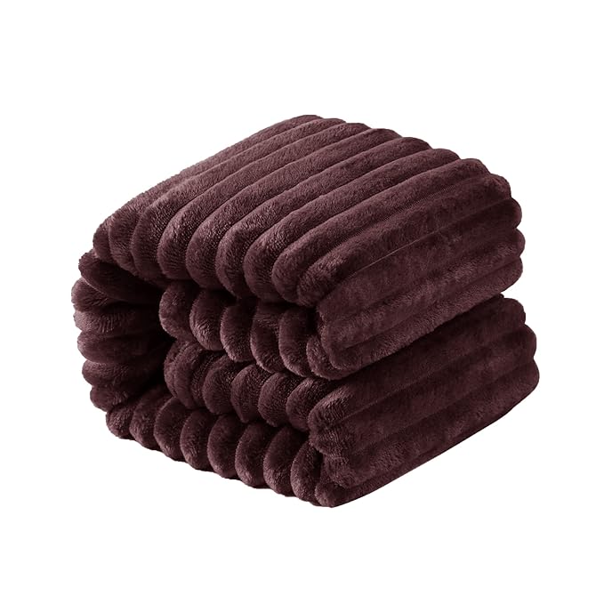NTBAY Plush Flannel Twin Bed Blanket, 60X80 Inches Soft and Warm Lightweight by NTBAY