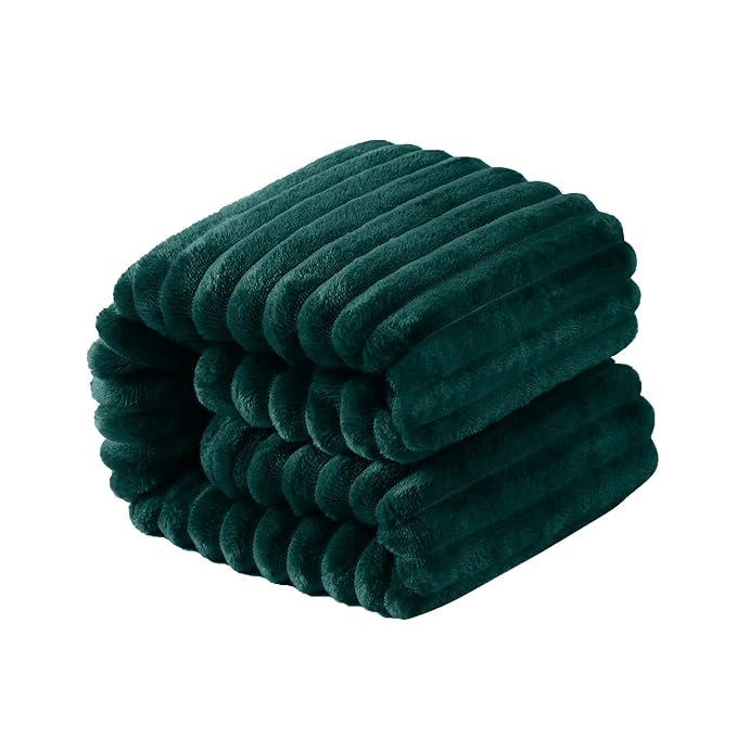 NTBAY Plush Flannel Twin Bed Blanket, 60X80 Inches Soft and Warm Lightweight by NTBAY