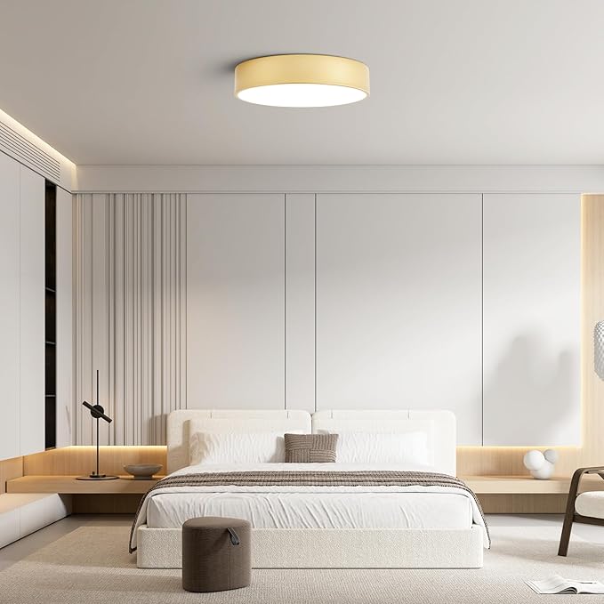Dimmable Modern Large Flush Mount Close to Ceiling Light Fixture, Round Painted - Image 2