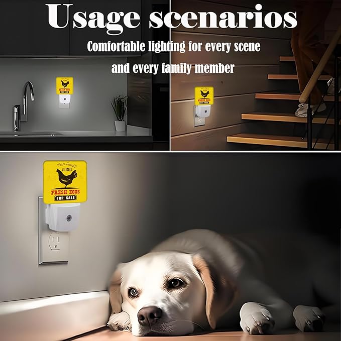 Funny Chicken Night Light, Plug Into Wall - Image 6