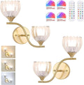 Battery Operated Wall Sconce, 2-Lights Vinatge Brass Wall Lighting by Shenmoyl