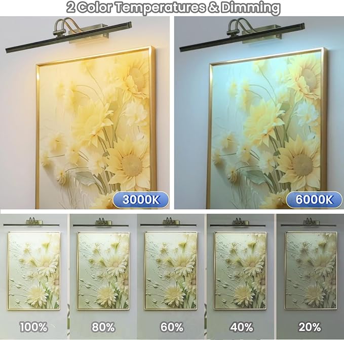 FUNCHDAY Wireless Picture Light, 2 Colors Wall Lights - Image 2