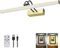 Picture Light, Picture Lights for Wall Cordless, Battery Wall Lights for by RAIFOOLLY